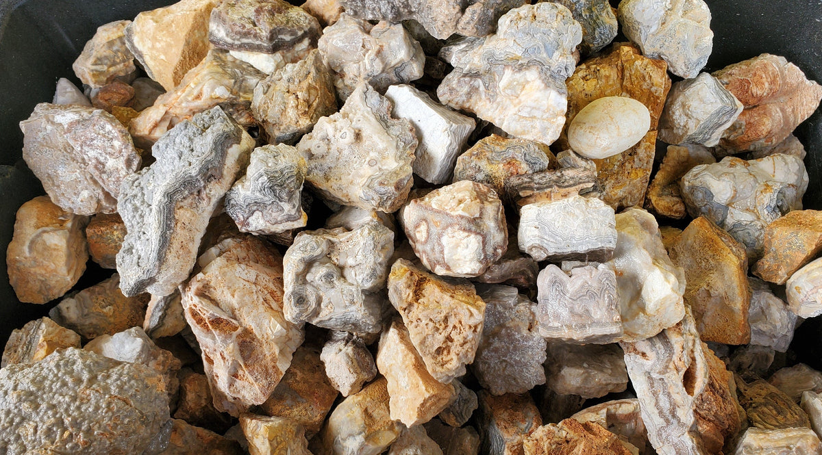 Hand-mined crazy lace agate rough from Trion, Georgia