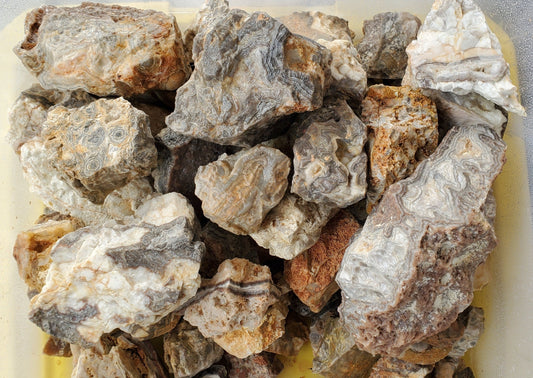 Hand-mined crazy lace agate rough from Trion, Georgia