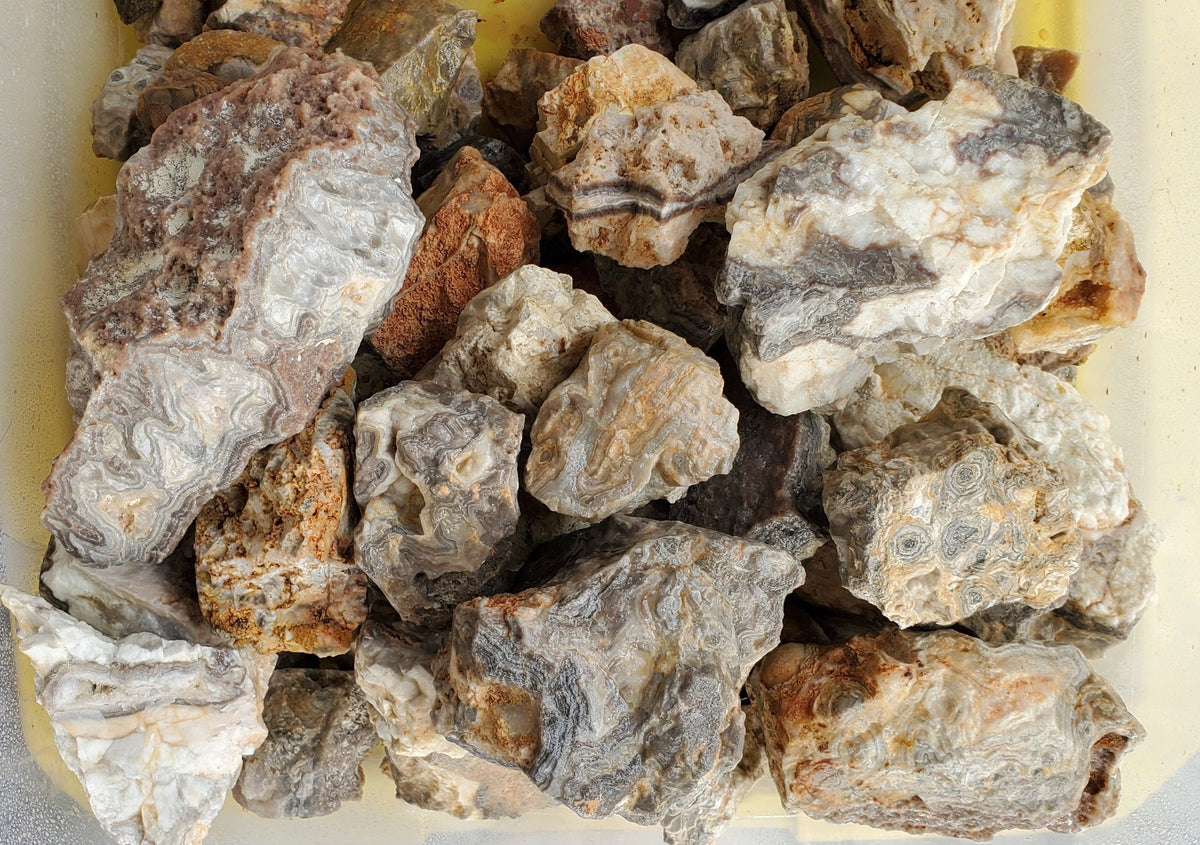 Hand-mined crazy lace agate rough from Trion, Georgia