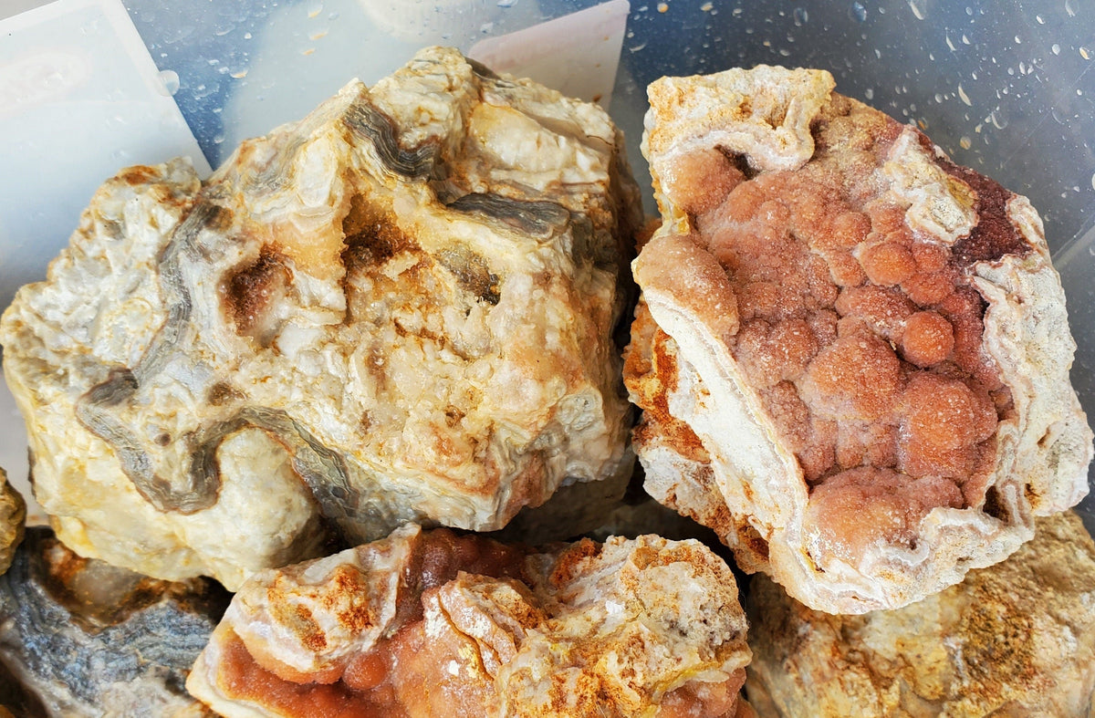 Hand-mined crazy lace agate rough from Trion, Georgia